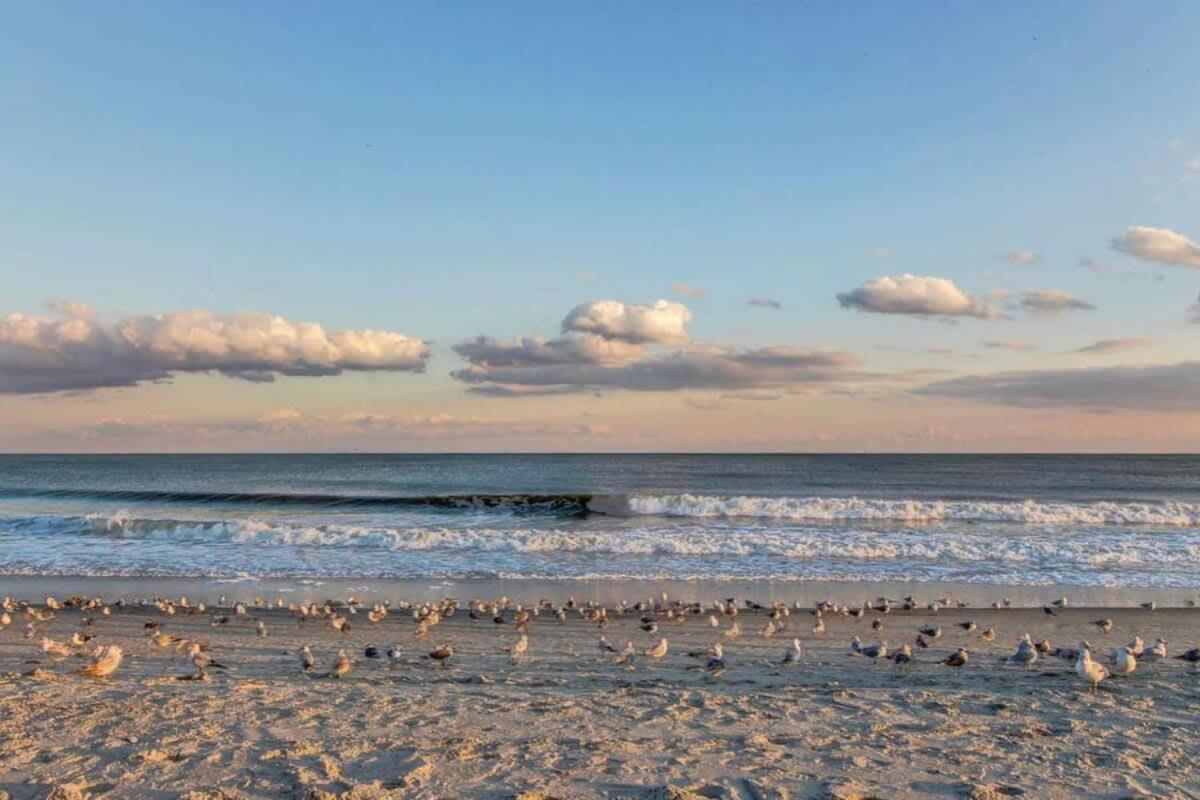 *Oceanfront Sun & Fun*Queen Beds*Pools*Hot Tubs*More*B118 شاطئ ميرتل المظهر الخارجي الصورة